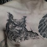 フクロウの途中経過